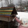 Pomóżmy ptakom przetrwać zimę! grupa „ Pszczółki”